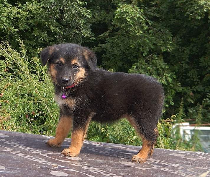 733 X 617 230.1 Kb 737 X 714 312.4 Kb 652 X 729 287.7 Kb 737 X 998 460.0 Kb     