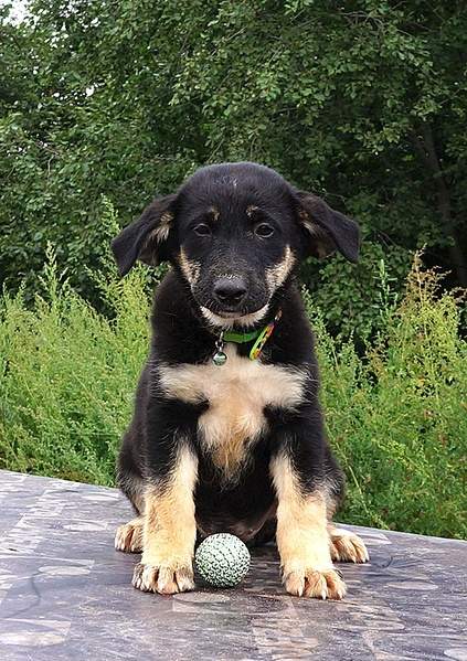 574 X 813 265.1 Kb 693 X 830 266.1 Kb     