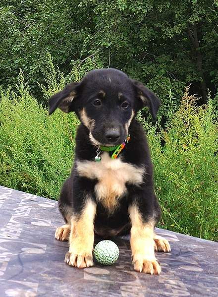 600 X 817 282.9 Kb 574 X 813 265.1 Kb 693 X 830 266.1 Kb     