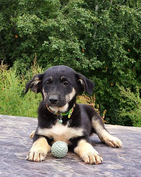 759 X 957 361.6 Kb 600 X 817 282.9 Kb 574 X 813 265.1 Kb 693 X 830 266.1 Kb     