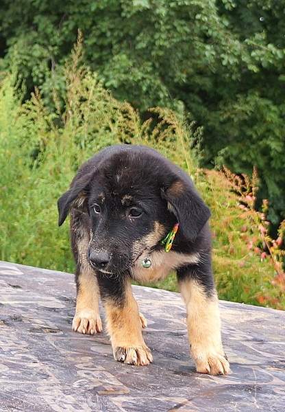 496 X 715 169.4 Kb 862 X 654 276.8 Kb     