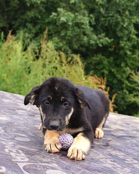 703 X 879 231.1 Kb 496 X 715 169.4 Kb 862 X 654 276.8 Kb     