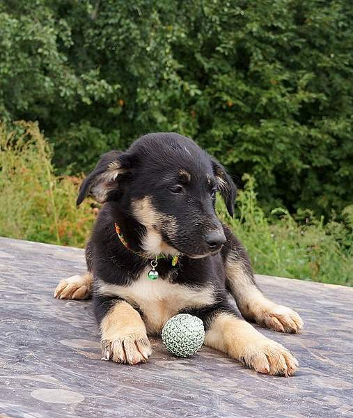 693 X 820 248.2 Kb 703 X 879 231.1 Kb 496 X 715 169.4 Kb 862 X 654 276.8 Kb     