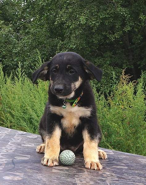 635 X 804 282.1 Kb 693 X 820 248.2 Kb 703 X 879 231.1 Kb 496 X 715 169.4 Kb 862 X 654 276.8 Kb     