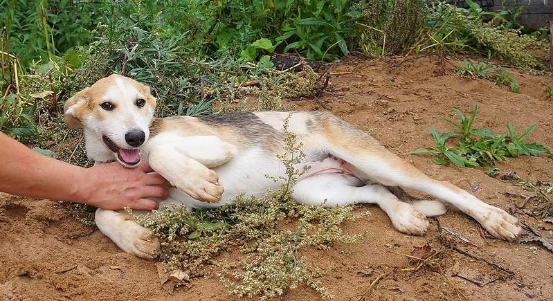 1360 X 740 605.6 Kb 950 X 1302 594.6 Kb     