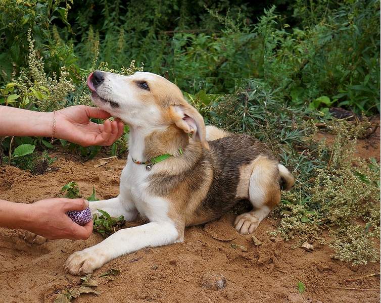 1418 X 1128 788.7 Kb 1360 X 740 605.6 Kb 950 X 1302 594.6 Kb     