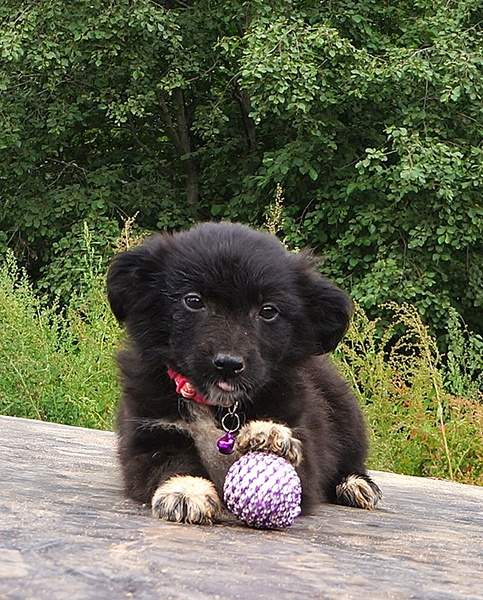 567 X 704 232.1 Kb 640 X 662 181.7 Kb     