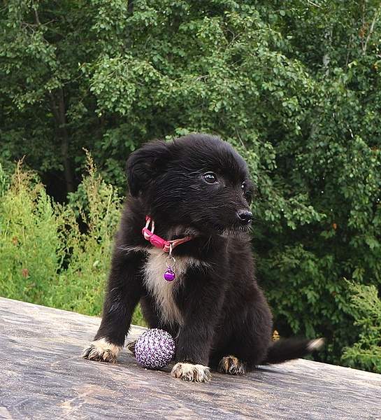 770 X 847 325.9 Kb 567 X 704 232.1 Kb 640 X 662 181.7 Kb     