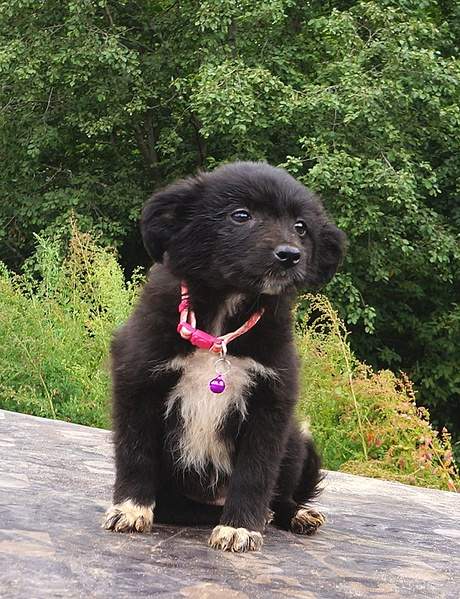 715 X 931 346.9 Kb 915 X 1073 463.6 Kb     