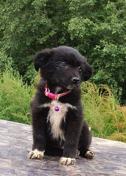 679 X 947 292.3 Kb 715 X 931 346.9 Kb 915 X 1073 463.6 Kb     