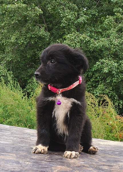 667 X 928 312.0 Kb 679 X 947 292.3 Kb 715 X 931 346.9 Kb 915 X 1073 463.6 Kb     