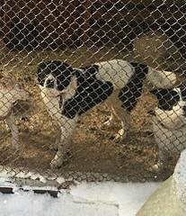 416 X 481  86.6 Kb   -  ,   . !