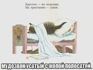 600 X 451 53.1 Kb неспящие в ижевске. лето, на