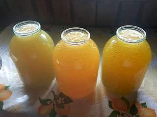 1920 X 1440 165.7 Kb ������ ������ ���