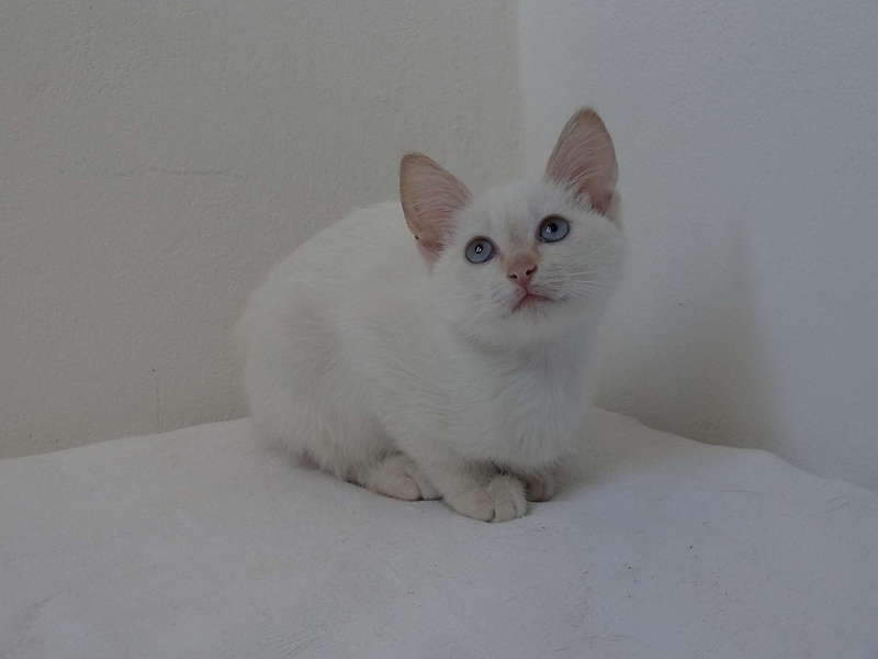 1920 X 1440  97.4 Kb 1920 X 1440  94.7 Kb     