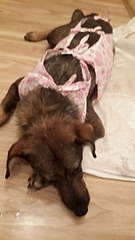 608 X 1080  63.1 Kb   -   