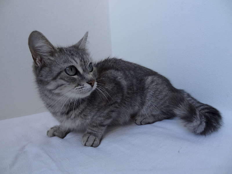 1920 X 1440 145.8 Kb    