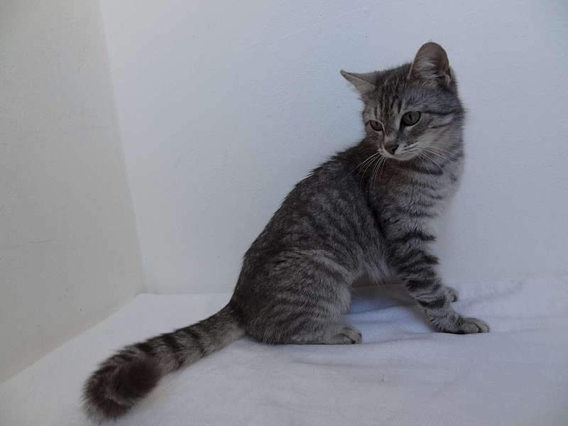 1920 X 1440 140.2 Kb 1920 X 1440 104.2 Kb 1920 X 1440 145.8 Kb    