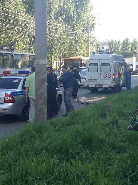 1530 X 2048 562.4 Kb 1530 X 2048 653.7 Kb 03.08.2015   . ,   . 18