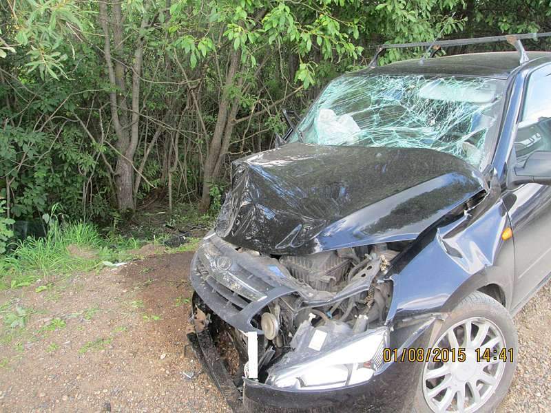 1920 X 1440 382.8 Kb 01.08.2015    ,  vs 99, 1 , 6 