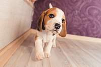 1199 X 800  99.8 Kb 1920 X 1281 176.5 Kb 1920 X 1281 213.9 Kb  