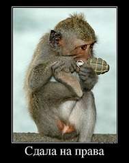 551 X 698  74.7 Kb 01.08.2015    ,  vs 99, 1 , 6 