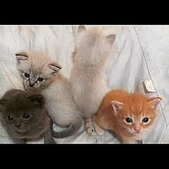 1024 X 1024 135.8 Kb   