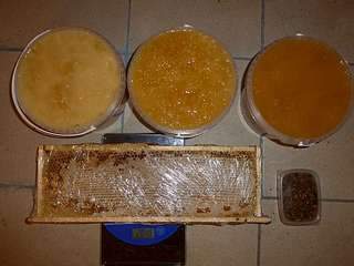 1136 X 852  96.8 Kb 1136 X 852  60.6 Kb ������ ������ ���