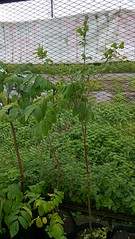 918 X 1632 650.4 Kb ����� ����������� � �������� 