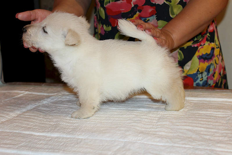 1999 X 1333 925.2 Kb   