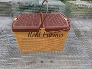 500 X 375  57.9 Kb    ,  