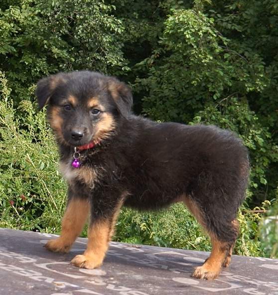 558 x 592 1267 X 869 584.6 Kb 793 X 807 346.8 Kb 715 X 878 319.3 Kb      