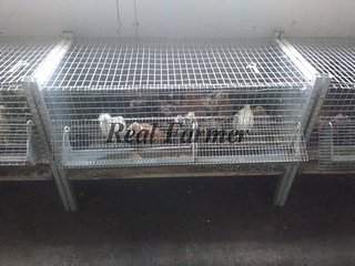 500 X 375 38.0 Kb 500 X 375 41.0 Kb 640 X 427 94.3 Kb 640 X 427 58.5 Kb , ,       