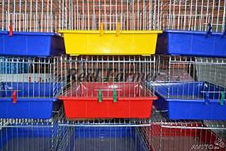 640 X 427 75.4 Kb 500 X 375 26.0 Kb 500 X 667 55.2 Kb 500 X 375 29.9 Kb , ,       