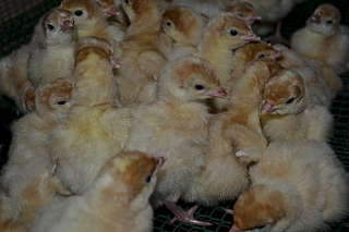 1920 X 1280 176.4 Kb 1920 X 1280 217.4 Kb 1920 X 1280 240.1 Kb 1920 X 1280 397.0 Kb 150 x 150 , ,       