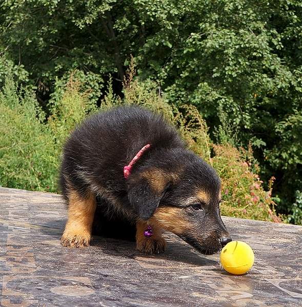 793 X 807 346.8 Kb 715 X 878 319.3 Kb      