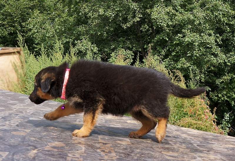 1267 X 869 584.6 Kb 793 X 807 346.8 Kb 715 X 878 319.3 Kb      