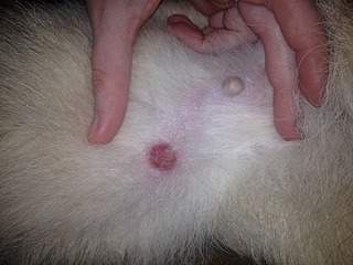 2048 X 1536 921.9 Kb 1920 X 1577 107.9 Kb   ,   .  !