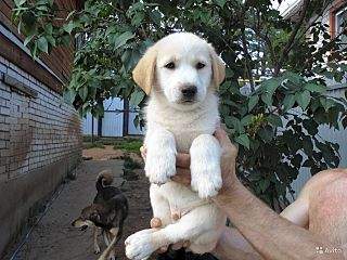 1280 X 960 194.3 Kb    , 8     , 