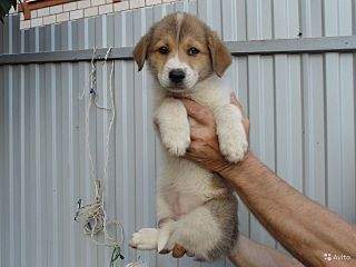 1280 X 960 112.5 Kb 1280 X 960 194.3 Kb    , 8     , 