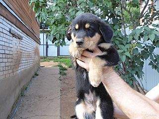 1280 X 960 200.8 Kb 1280 X 960 112.5 Kb 1280 X 960 194.3 Kb    , 8     , 