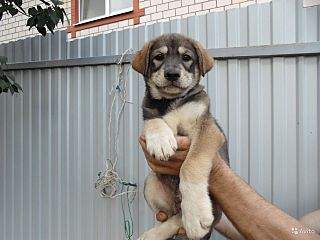 1280 X 960 123.9 Kb 1280 X 960 200.8 Kb 1280 X 960 112.5 Kb 1280 X 960 194.3 Kb    , 8     , 