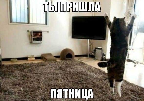 590 x 415 Улыбнемся?