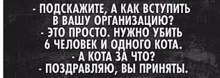 806 X 287  74.0 Kb Улыбнемся?