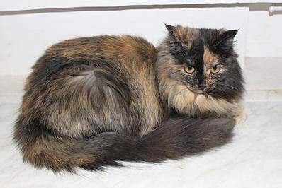 1024 X 683  95.8 Kb  - - - ''   !