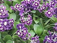 1920 X 1440 315.1 Kb 1920 X 1440 539.2 Kb  - , , , ,   .