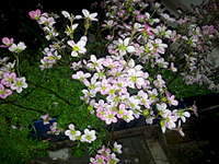 1920 X 1440 409.2 Kb 1920 X 1440 472.9 Kb 1920 X 1440 405.0 Kb  - , , , ,   .