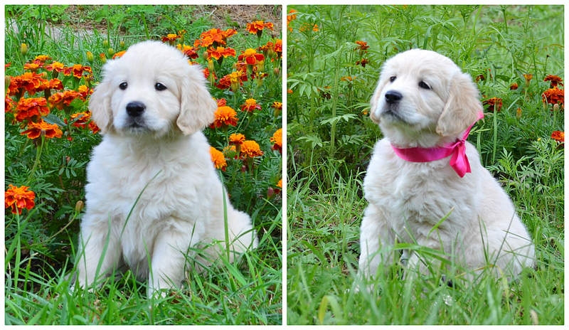 1200 X 696 646.2 Kb 1200 X 708 746.6 Kb    