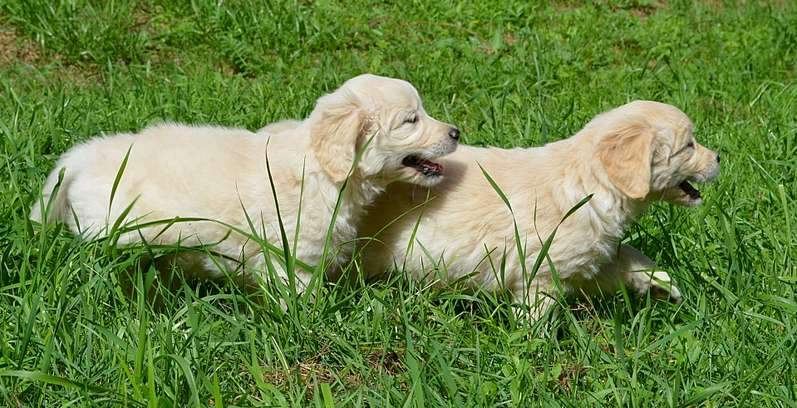 1920 X 981 293.0 Kb 1200 X 696 646.2 Kb 1200 X 708 746.6 Kb    