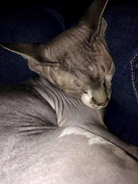 1080 X 1440 157.1 Kb 1080 X 1440 190.4 Kb Канады! Канады! Канады! - за 7 000руб!